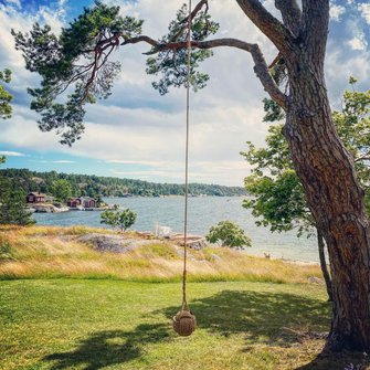 Rope Ball Swing